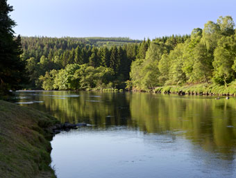 Looking downstream on the River Dee