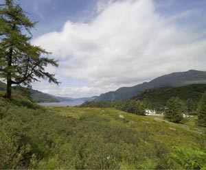 Loch Duich and Shiel Lodge